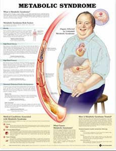 [95811] Metabolic Syndrome Chart (Model 95811)